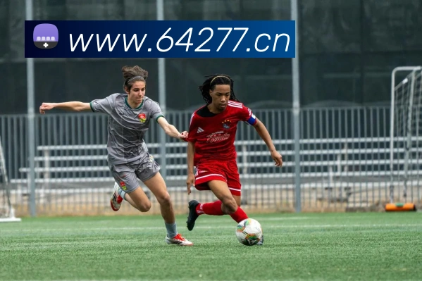 mk体育平台官网服务体系